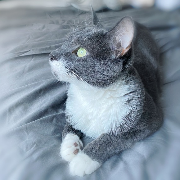 Meet your Posher, Anna - Picture 1 of 1